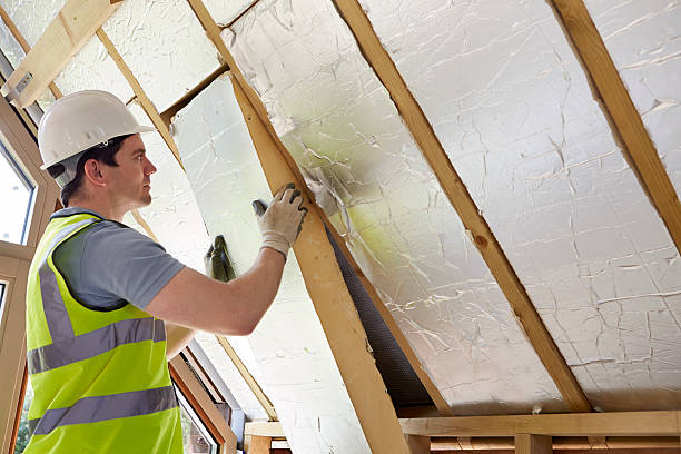 Best Attic Insulation Installation  in Hawthorne, NV